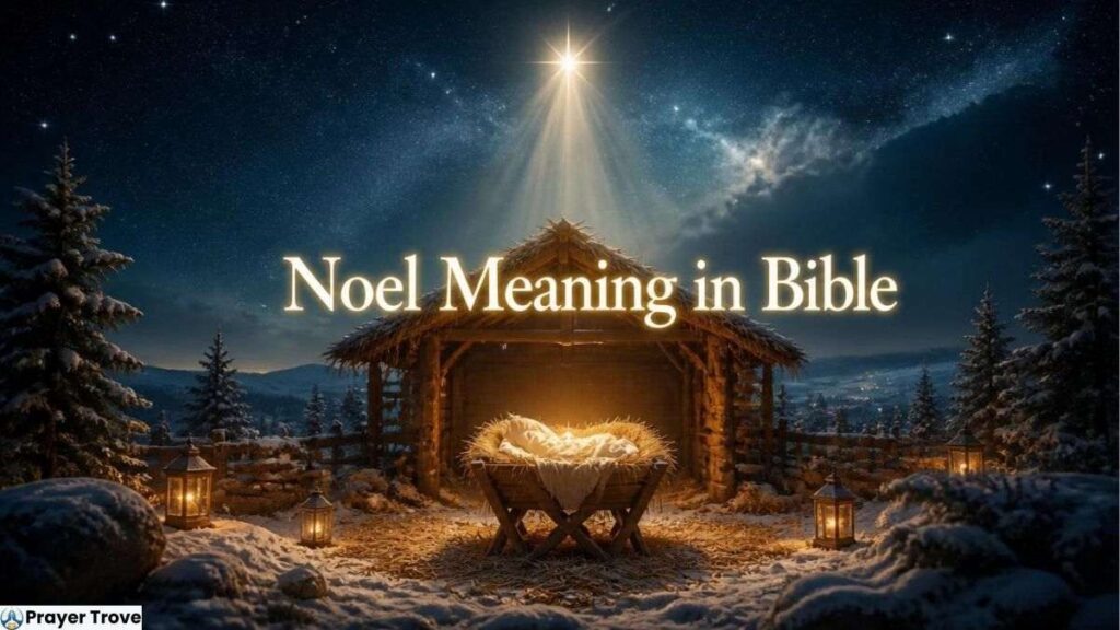 Noel meaning in bible​