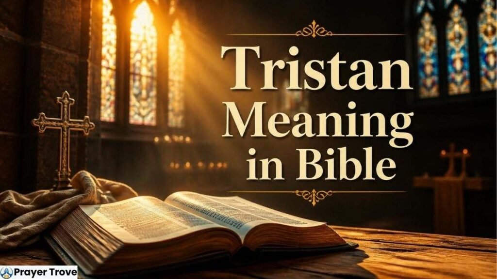 tristan meaning in bible
