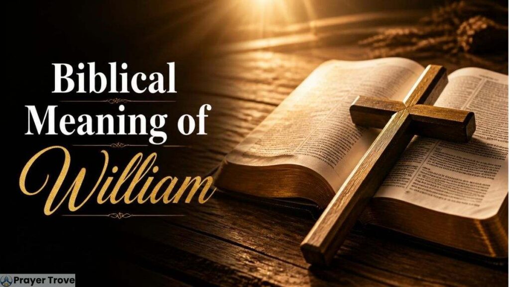 Biblical Meaning of William